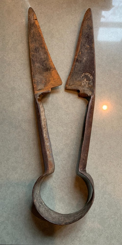Antique wilkinson sheep shears - sheep,