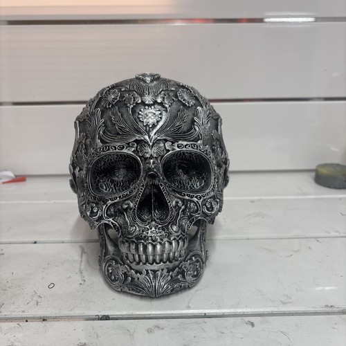 Human skull designer skeleton - human,