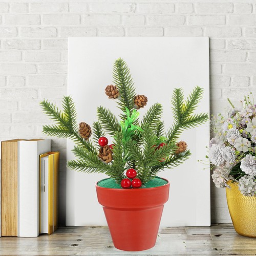 Xmas mini potted - mini, plant
