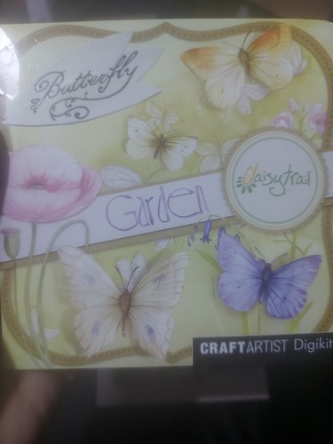 Craft artist digikit butterfly - craft,