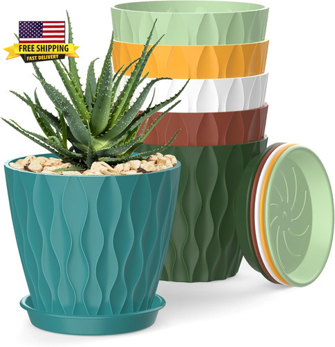 Inch plant pots 6 - 4,