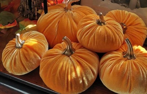 Halloween orange fabric - halloween,