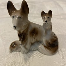 German Shepherd Wolf Family