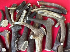 One Piece of Natural Deer Antlers , 100% Natural. BUY THREE GET ONE FREE !