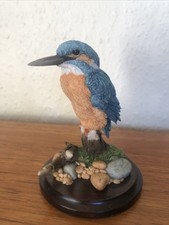 Country Artist Kingfisher