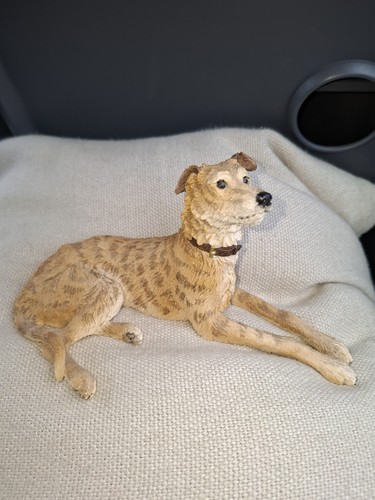 Border fine art - fine, lurcher