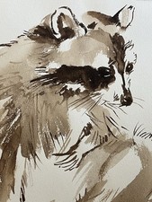Roy Petley (b1950) - British - Original watercolour sketch of a Racoon - Signed
