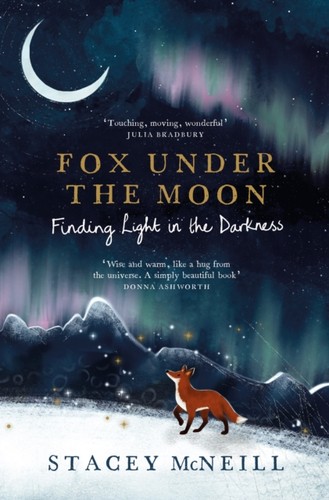 Fox under the moon finding - moon,