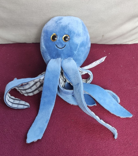 Pulpo blue octopus - octopus,