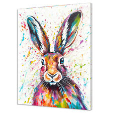 Colourful Hare Rabbit Animal