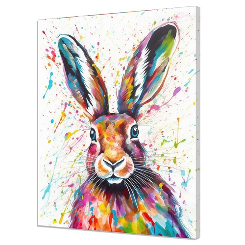 Colourful hare rabbit animal - rabbit,