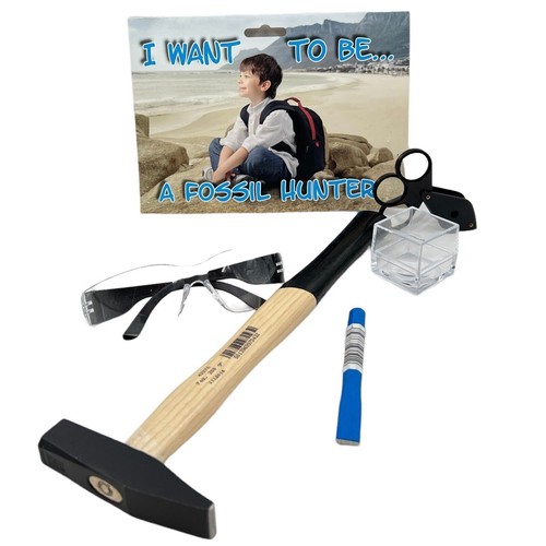 Junior fossil hunting starter - fossil,