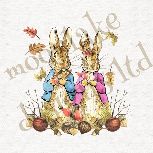 Beatrix potter peter - peter, rabbit