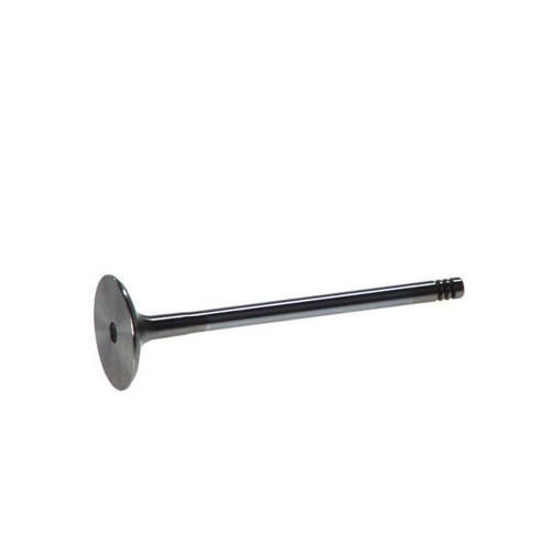 Intake valve fits - valve,