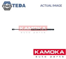 7092138 TAILGATE BOOT STRUT