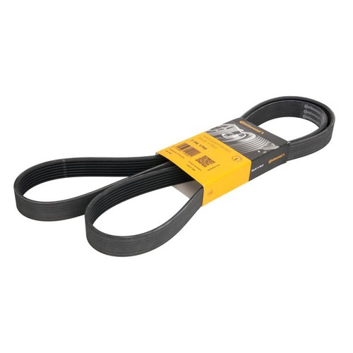 Contitech 1795 v ribbed - contitech, pk