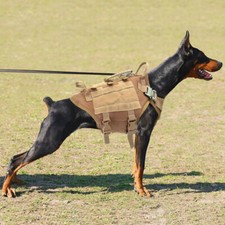 Tactical Molle Hunting Dog