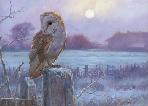 Barn owl christmas cards - christmas, pack