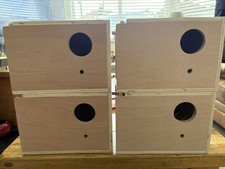Budgie nest nesting - budgie,