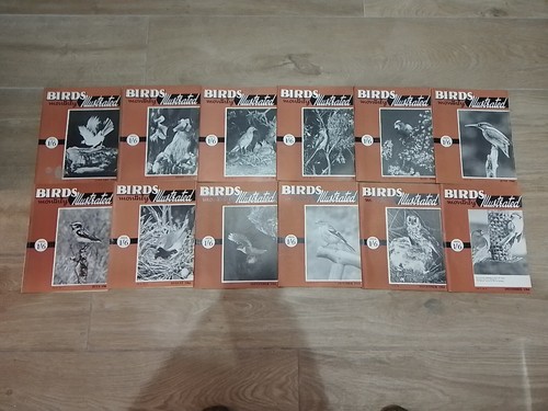 Birds illustrated monthly - "birds, monthly"