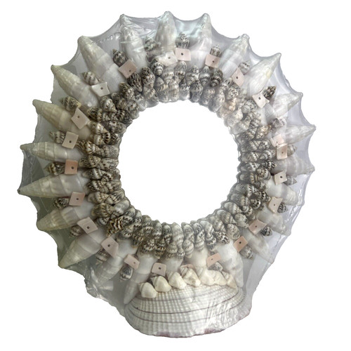 Vintage nos round seashell - vintage,