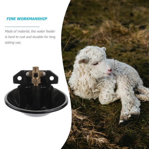 Goats drinking bowl - drinking, tool
