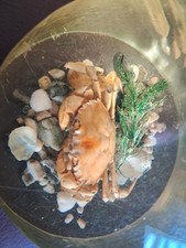 Retro vintage crab - retro/vintage,