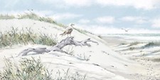 Richard Macneil - Driftwood -
