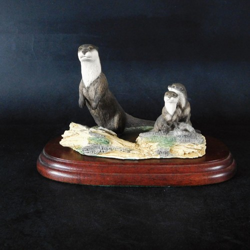 Border fine arts - border,