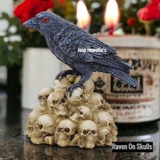 Raven Crow On Skull Pile