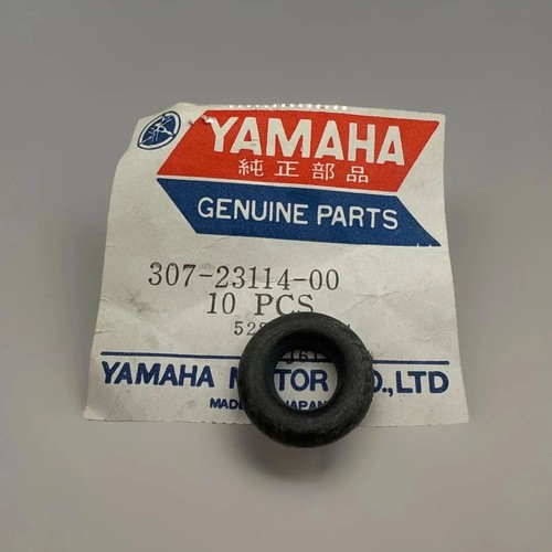 Yamaha gasket chappy - gasket, fs1