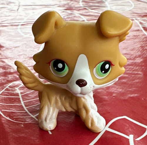 Littlest pet shop - pet,