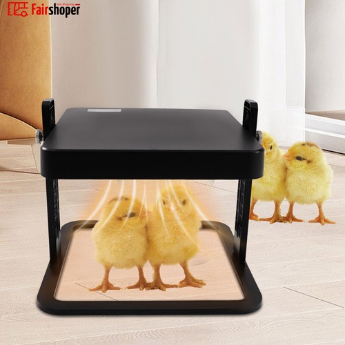 Chick brooder heat plate - brooder/heat,