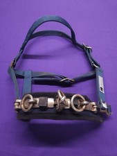 Kincade Blue Full Size Horse Lunging Cavesson