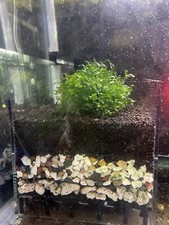Under gravel filter - set,