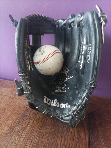 Baseball catcher glove mitt - baseball,