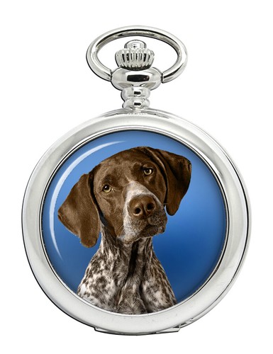 German shorthaired pointer - german,