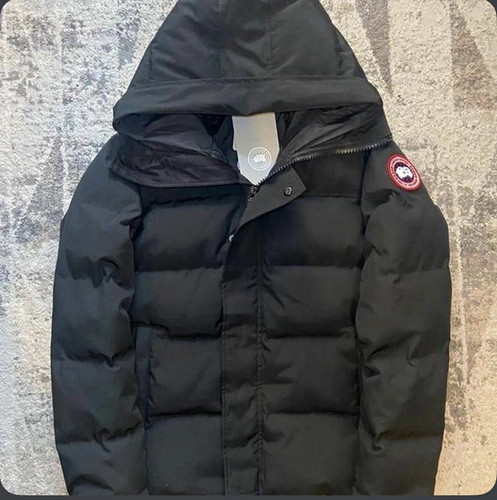 Arctic program lodge - lodge, hoody