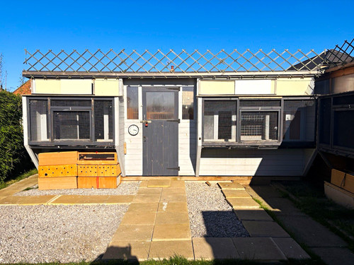 Wooden pigeon sheds - wooden,