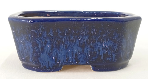 Tokoname bonsai pot juko - tokoname,