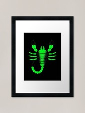 Green Scorpion Framed Art