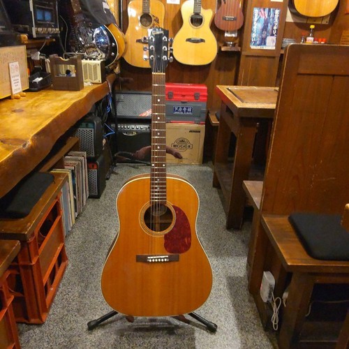 Gibson acoustic electric - gibson,