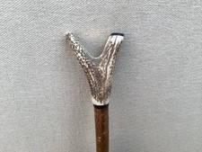 Red Deer Antler Walking Hazel