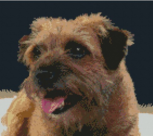 Terrier puppy dog counted - dog,