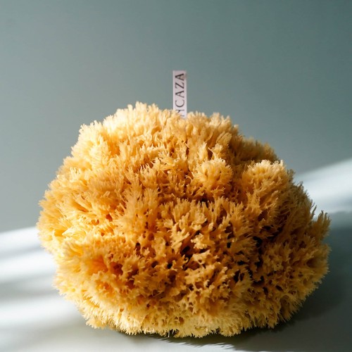 17cm extra large natural - large,