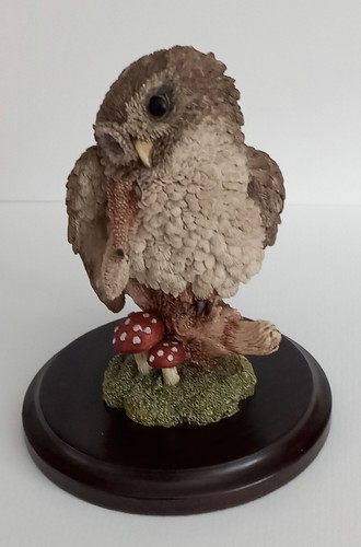 Country artists little owl - country, *