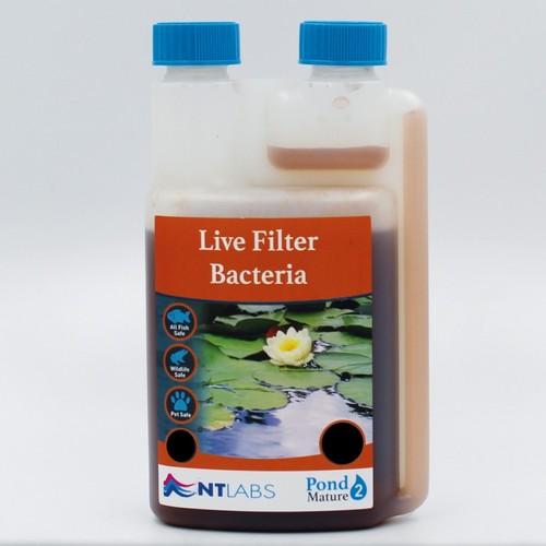 Labs pond mature live - pond,