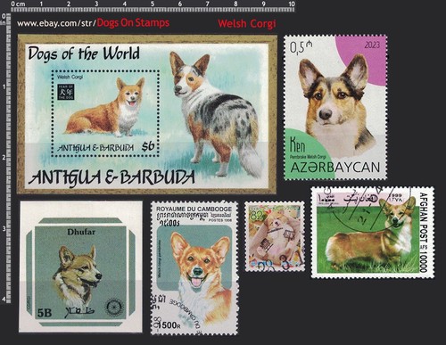 Wecp frame dog breed - frame, it