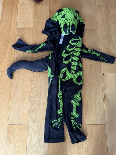 Halloween skeleton dinosaur - skeleton,