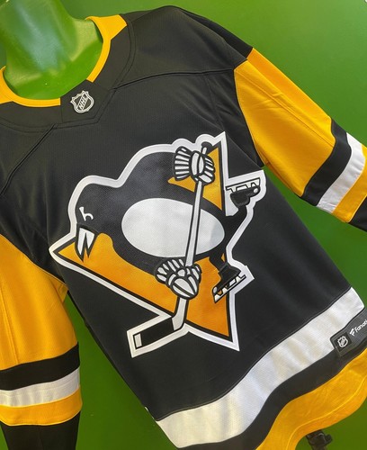 Nhl pittsburgh penguins blank - pittsburgh,